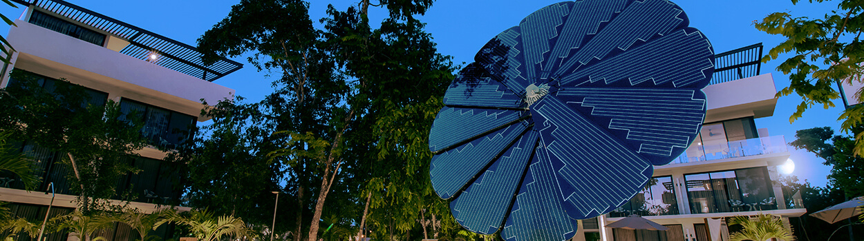 Central Park Tulum infinity pool